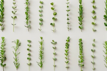 Poster - Simple Clean Repeated Green Plants on Soft Beige Background with Small Shadows – Bright Pastel Color Scheme for Calm, Sunny Mood
