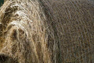 Wall Mural - Bale of hay - close-up photograph