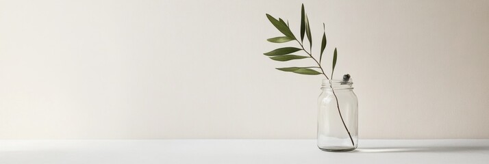 Aufkleber - Minimalist Botanical Scene Single Green Branch in Glass Jar on White Background in Soft Natural Light
