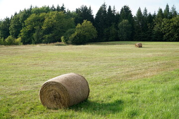 Wall Mural - Round bales of hay on meadow