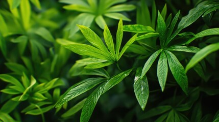 Lush green abstracts in natural serenity