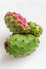 Wall Mural - Vibrant Prickly Pear on White Background.