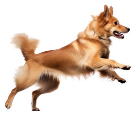 Poster - PNG Energetic dog leaping joyfully.