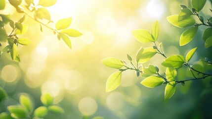 Poster - green and yellow bokeh blur background resembling sunlight through leaves, with a nature-inspired, c