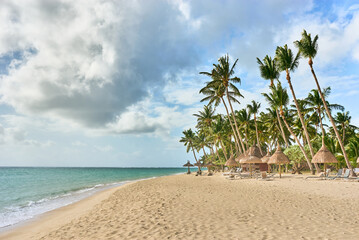 Wild tropical beach with coconut trees and other vegetation, white sand beach, Mauritius island, Africa