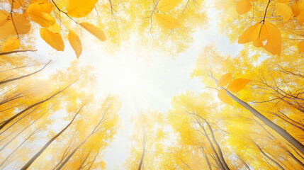 Wall Mural - golden autumn leaves glimmering under bright sunlight above
