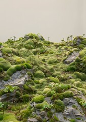 Canvas Print - Green Moss Covered Rock Formation in a Natural Setting