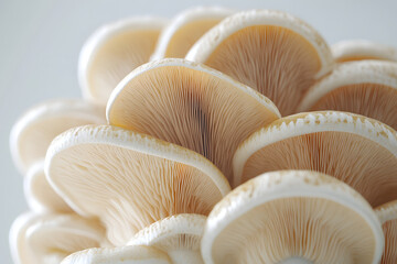 Wall Mural - Close up of bunch mushroom