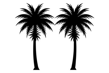 Palm Tree Silhouettes Two Types Vector Art