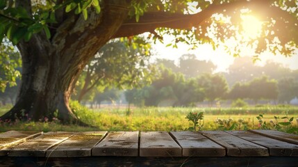 Poster - A wooden table with a tree in the background