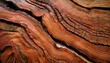 © Emanuel - redwood trees with intricately carved sequoia surface wooden surface texture perfect for your creative projects