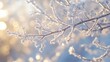 © Dinara - A delicate branch covered in frost sparkles in the soft light of the winter sun.