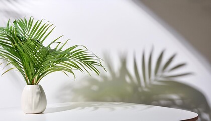 Canvas Print - a white table holds a vase filled with a green plant nearby a palm tree casts a shadow