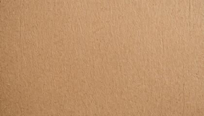 Wall Mural - brown paper texture or background