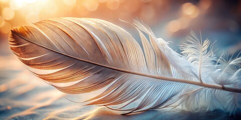 Delicate, intricately patterned feather edge and quill details in sharp focus, set against a soft, blurred background, showcasing natural textures and subtle color variations.