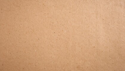 Canvas Print - brown recycle paper texture abstract background