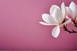 © Galeno - beautiful magnolia flowers pink background delicate design copy space