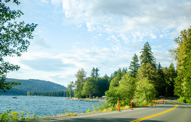 Cultus lake park road lined with pine trees in Chilliwack, Fraser Valley, BC, Canada