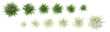 © Saifstock - Collection of Lilyturf plants with transparent background from top view