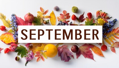 Wall Mural - the word september written in the middle of colorful autumn leaves fruits and flowers on a white background