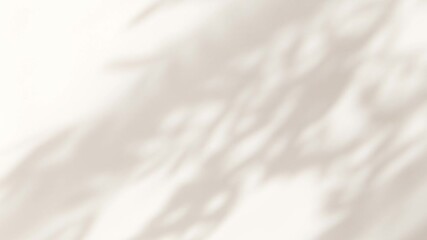 Abstract silhouette shadow white background of natural leaves tree branch falling on wall. Transparent blurry shadow leaf in morning sun light. Copy space for text.