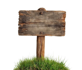 Wall Mural - Weathered wooden signboard in grass, cut out