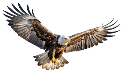 Poster - PNG Majestic bald eagle in flight