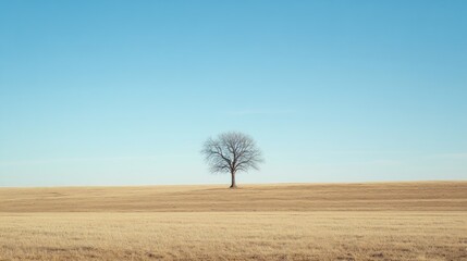 Aufkleber - A Single Tree Standing Tall in a Vast Field