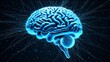 © Natasha  - blue human brain glowing with neural connections extending outward, on dark blue background