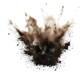 Canvas Print - PNG Explosive black powder cloud burst