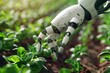 © VolumeThings - 3D robot and robot arms in agricultural industry robotics technology revolution fully automated AI control for weeding and harvesting in organic far