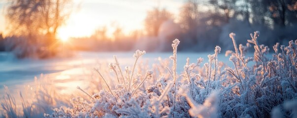 Frozen landscape at dusk, with soft light illuminating the scene, creating a serene winter atmosphere, Serene, Cool Tones, Wide Angle