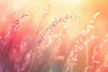 Sticker - Delicate Grass Blades Bathed in Golden Sunlight