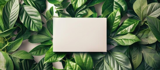 Wall Mural - Beautiful Green Leaves With Paper Card Nature Concept