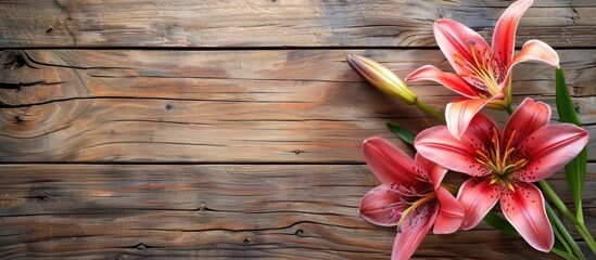 Wall Mural - Beautiful Lily On Wooden Background