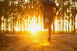 © sutadimages - Runner trail running fitness on nature landscape.athlete's feet wearing sports shoes for trail running in the forest