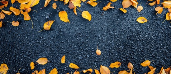 Wall Mural - Yellow Autumn Leaves On Asphalt Road Top View Of Fall Season Background