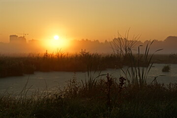 Wall Mural - sunset over the river