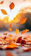 Canvas Print - Autumn Leaves Falling in the Sunlight.