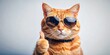 © PloyJai - Cool and confident ginger cat with sunglasses giving a thumbs up