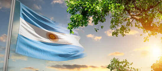 Argentina national flag waving in the sky behind the tree. The flag blow in beautiful sunlight. Argentina national flag for independence day.