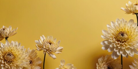 Wall Mural - an aesthetic yellow background