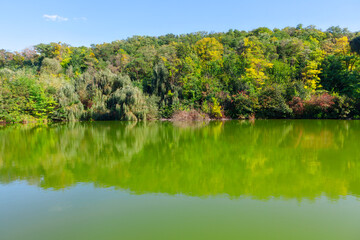 Lake with a greenish tint and trees in the background. The water is calm and still. Tranquil lake surrounded by calm waters and distant trees