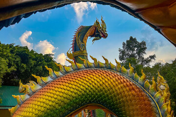 Wall Mural - thai style dragon