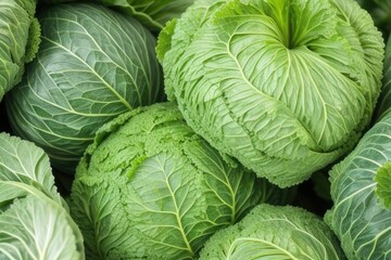 Close-up cabbage