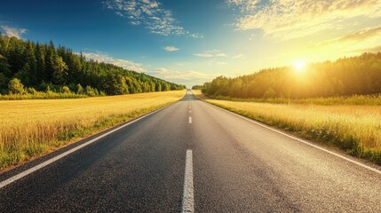 An asphalt road lined with tall grass leads to a forest in the distance, with a bright sun shining in the sky.