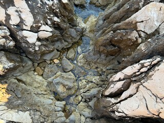  tree bark texture