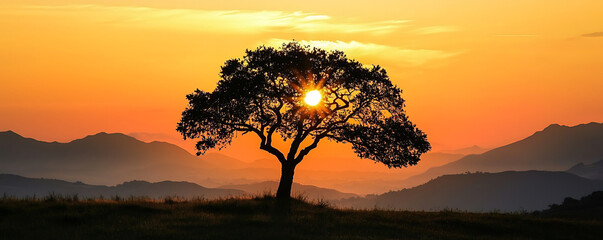 Wall Mural - A breathtaking view of a solitary tree's silhouette standing against the backdrop of a vivid sunset over mountain ranges