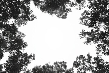 Canvas Print - Black and white tree canopy