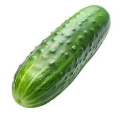 Clean and fresh cucumber